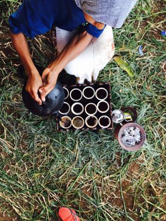 Ethiopia - Natural Sidamo - Green Coffee