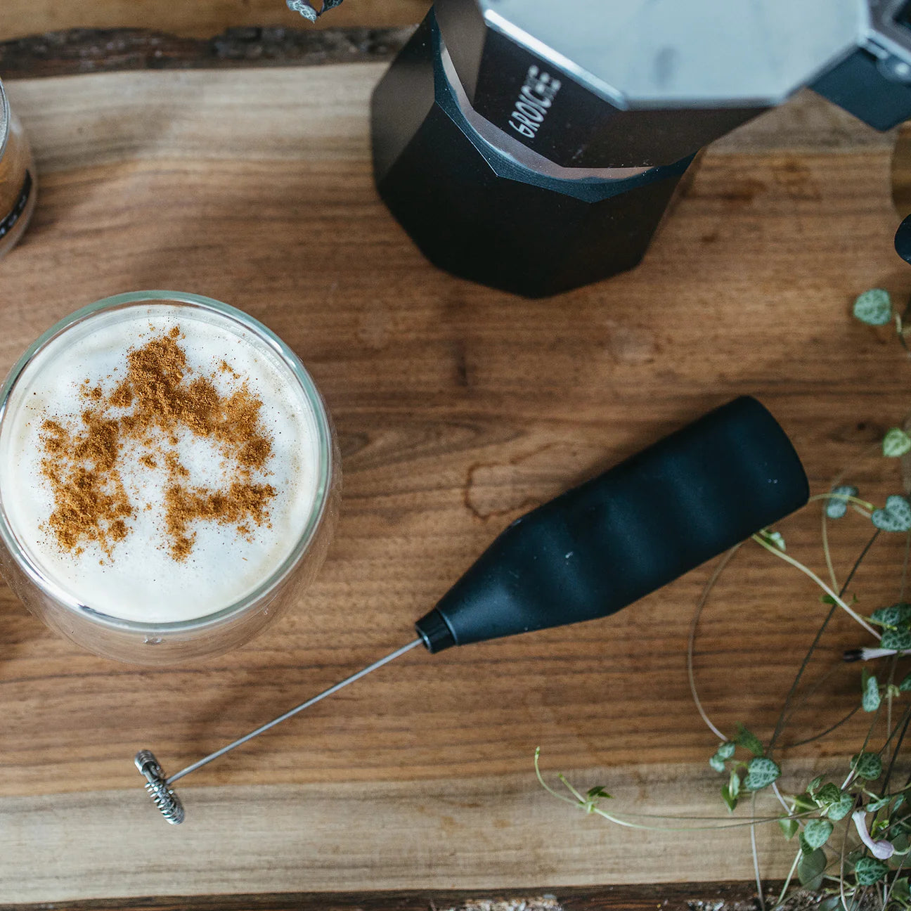 Milk Frother